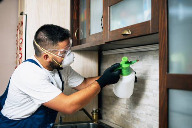 Best Termite Control Services  in Salyersville, KY