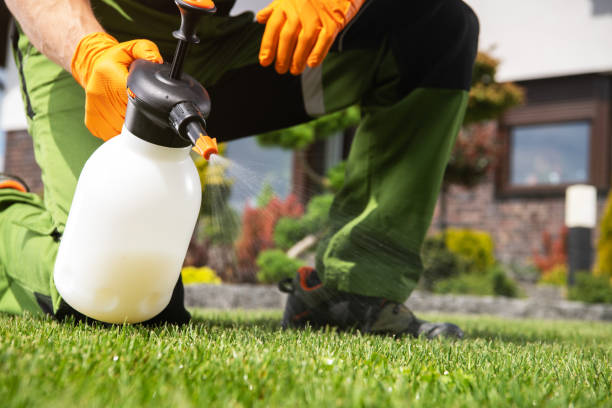 Pest Control for Restaurants in Salyersville, KY