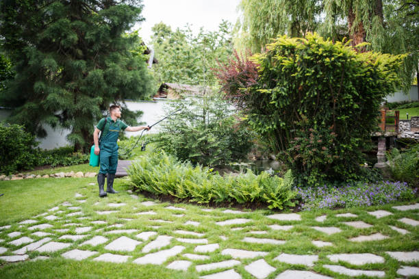 Best Affordable Pest Control Services  in Salyersville, KY