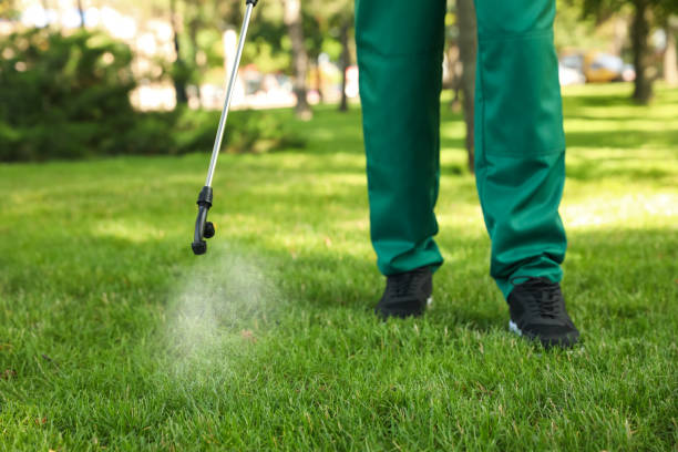 Reliable Salyersville, KY Pest Control Solutions