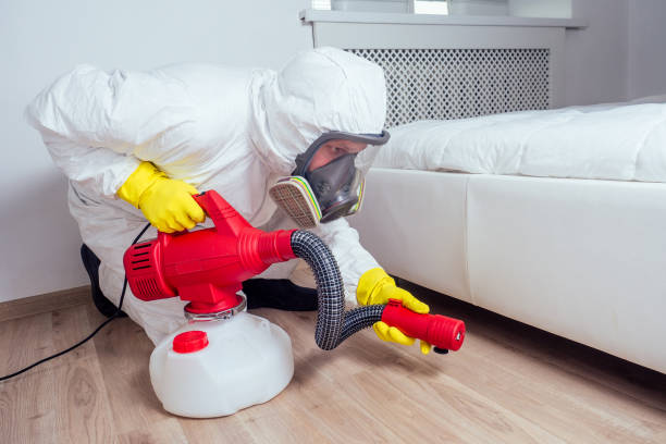 Best Flea Control Services  in Salyersville, KY