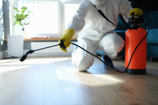 Best Pest Removal Services  in Salyersville, KY