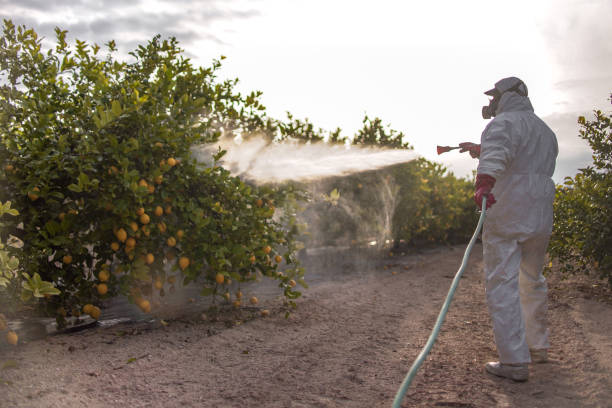Best Exterminator Services  in Salyersville, KY