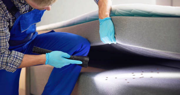 Wasp Removal Services in Salyersville, KY
