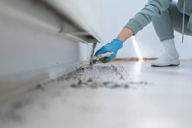 Best Emergency Pest Control  in Salyersville, KY
