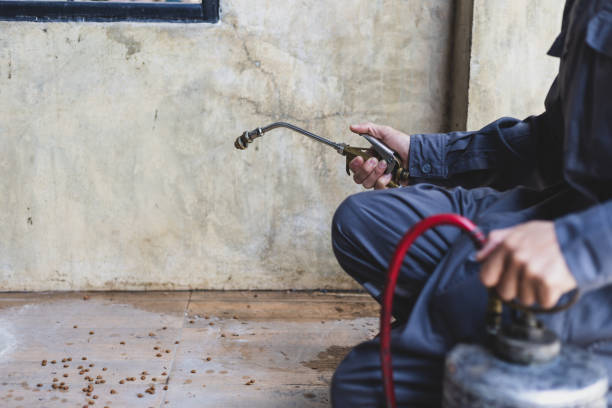 Best Rat Extermination Near Me  in Salyersville, KY