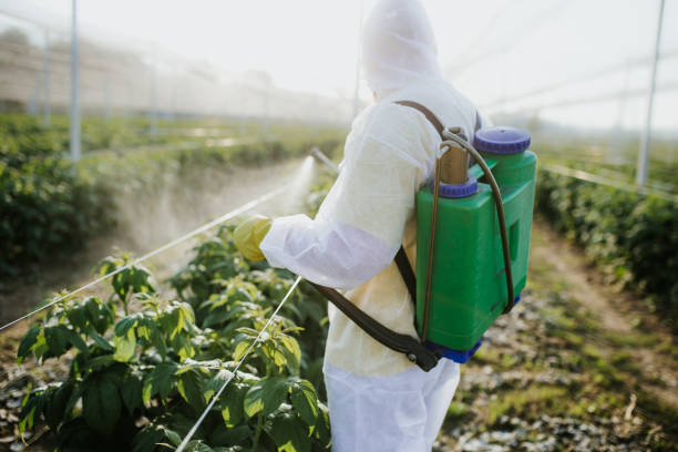 Best Pest Control for Homes  in Salyersville, KY